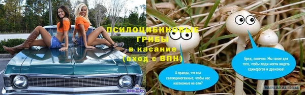 прущая мука Михайлов