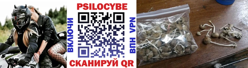 Псилоцибиновые грибы Psilocybe Правдинск